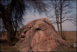 Głaz „Zaklęta karczma” koło Margonina - będzie miejscem chronionym przez członków pierwszego w Polsce Szkolnego Koła „Salamandry”