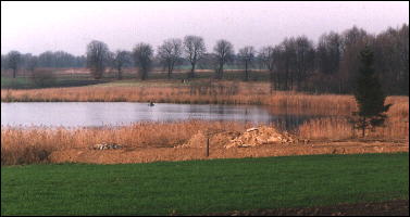 Jezioro Umultowskie to jeden z licznych użytków ekologicznych na terenie Poznania