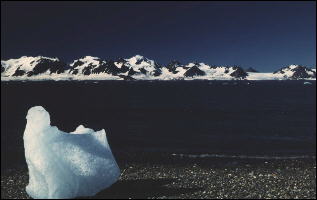 Gigantyczna „kostka lodu”, a w oddali Wyspa Księcia Karola (100 km długości!)