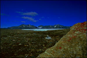 Spitsbergen - raj dla glacjologów, lichenologów i miłośników surowych krajobrazów północy