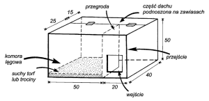 Schemat budowy skrzynki lęgowej dla płomykówki