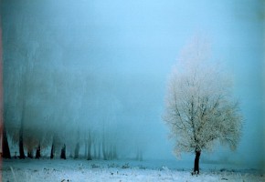 Mgły, śnieg i niska temperatura – to niekorzystne warunki do prowadzenia wegetacji