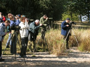 Uczestnicy wycieczki z dużym zainteresowaniem obserwowali odpoczywające na rozlewiskach ptaki