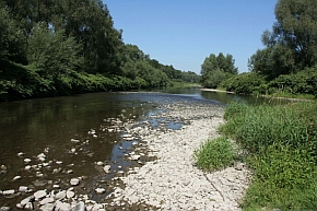 Rzeka Olza