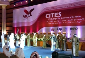 Ceremonia otwarcia konferencji stron CITES w Katarze