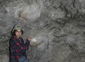 Ściana jaskini Kitum – widać ślady po ciosach słoni, które fedrują pokłady popiołu wulkanicznego spomiędzy bloków zastygłej lawy