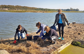 Akcja wolontariuszy polegająca na oczyszczeniu wyspy z roślinności