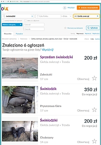 W Internecie można łatwo znaleźć wiele ofert sprzedaży zwierząt stanowiących efekt krzyżowania objętego zakazem ustawowym