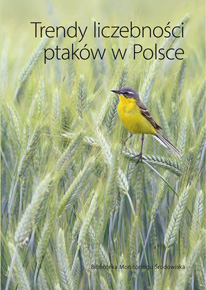 Wiemy więcej o trendach liczebności ptaków w Polsce