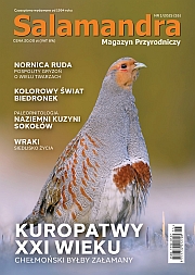 Aktualny numer
