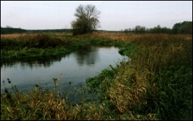 Fragment doliny rzeczki Głuszynki chroniony jako użytek ekologiczny