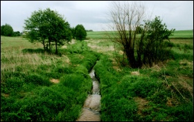 Biolodzy z „Salamandry” proponują objęcie fragmentu doliny Różanego Potoku ochroną w formie użytku ekologicznego