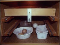 Podebrane sokołom jaja trafiają do tego inkubatora