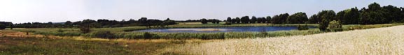 Jezioro Umultowskie - użytek ekologiczny na północnym skraju Poznania