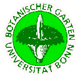 Kwiatostan dziwidła w logo Ogrodu Botanicznego Uniwersytetu Bońskiego
