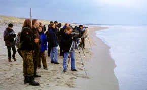 Grupa miłośników ptaków podczas zorganizowanej przez „Salamandrę” zimowej wycieczki nad Bałtyk