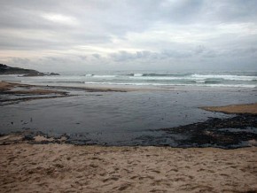 Piaszczyste plaże Galicji zostały zalane czarną oleistą mazią