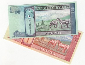 Konie zajmują w kulturze mongolskiej istotne miejsce – znajdują się na odwrocie wszystkich aktualnych banknotów