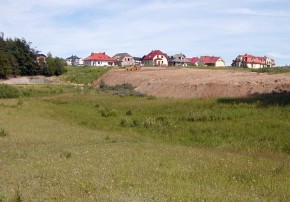 Hałda piasku zasypująca teren użytku ekologicznego na gdyńskim osiedlu Dąbrowa. Pech chciał, że wszystkie storczyki rosły właśnie w tej części łąki.