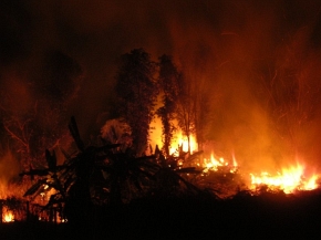 Pożary indonezyjskich lasów tropikalnych są często wywoływane celowo – aby uzyskać miejsce pod kolejne uprawy