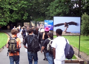 W dublińskim parku zdjęcia polskiej przyrody obejrzało grubo ponad ćwierć miliona widzów