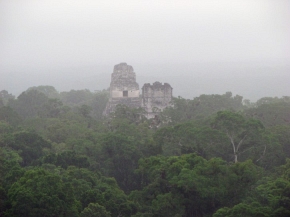 Piramidy Tikal ponad okapem tropikalnego lasu
