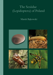 The Sesiidae (Lepidoptera) of Poland