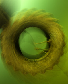 Stara opona zatopiona w jeziorze z czasem staje się domem dla podwodnych stworzeń, takich jak np. racicznice i kolonie gąbek